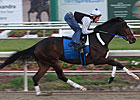 Rachel Alexandra Breezes Four Furlongs in :49 Rachel Alexandra Breezes Four Furlongs in :49
