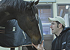 Rachel Alexandra Recovering from Surgery Rachel Alexandra Recovering from Surgery
