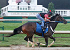 Rachel in Final Work Before Saratoga Sojourn
