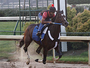 Rachel's Next Race: Lady's Secret at Monmouth Rachel's Next Race: Lady's Secret at Monmouth