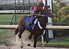 Rachel's Next Race: Lady's Secret at Monmouth