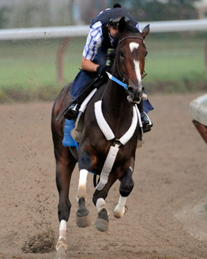 Rachel Alexandra, Papa Clem in Haskell Works Rachel Alexandra, Papa Clem in Haskell Works