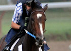 Rachel Alexandra, Papa Clem in Haskell Works