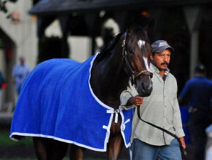 Rachel Alexandra in Final Woodward Tuneup Rachel Alexandra in Final Woodward Tuneup