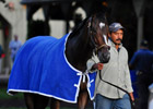 Rachel 'Doing Great,' Ships to Ky. Tuesday