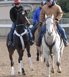 FG Creates Race to Lure Rachel Alexandra FG Creates Race to Lure Rachel Alexandra