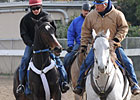 FG Creates Race to Lure Rachel Alexandra