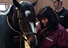 Rachel Alexandra Shows Some Progress Rachel Alexandra Shows Some Progress