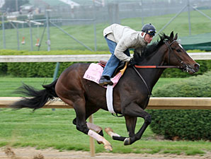 Oaks: Rachel Alexandra Zips Through Work Oaks: Rachel Alexandra Zips Through Work