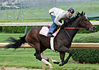 Oaks: Rachel Alexandra Zips Through Work