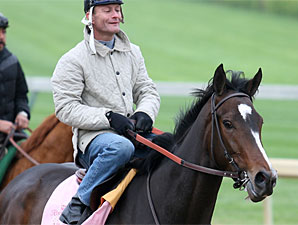 Oaks: Rachel Alexandra Readies For Final Work Oaks: Rachel Alexandra Readies For Final Work