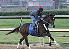 Rachel Alexandra Sharp in Churchill Workout