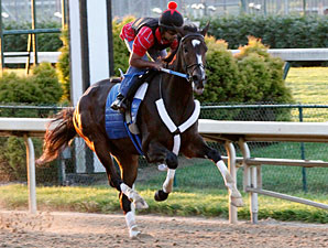 Rachel to Start in Fleur de Lis, Not Foster Rachel to Start in Fleur de Lis, Not Foster