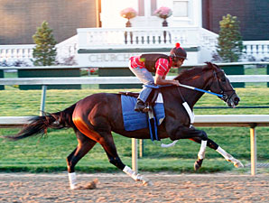 Rachel Alexandra Works Toward June 12 Start Rachel Alexandra Works Toward June 12 Start