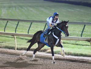 Rachel Alexandra Works Under Lights Rachel Alexandra Works Under Lights