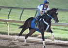 Rachel Alexandra Works Under Lights