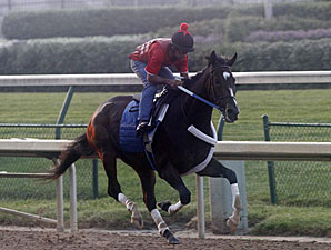 Rachel in First Work Since Fleur de Lis Romp Rachel in First Work Since Fleur de Lis Romp