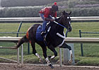 Rachel in First Work Since Fleur de Lis Romp