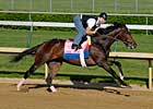 KY Oaks: Everyone Chasing Rachel Alexandra