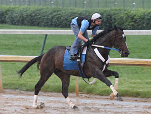 Rachel Alexandra Works; No Belmont Decision Rachel Alexandra Works; No Belmont Decision