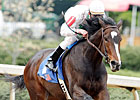 Rachel' Gearing Up For Big Ky. Oaks Run