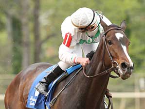 Fantasy Foes at Rachel Alexandra's Mercy Fantasy Foes at Rachel Alexandra's Mercy