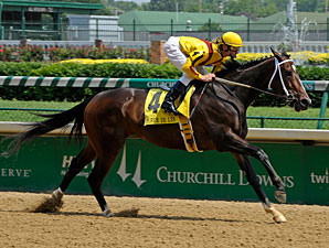 Confident Rachel Blooms Again in Fleur de Lis Confident Rachel Blooms Again in Fleur de Lis
