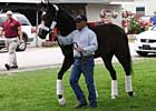 'Rachel,' Pioneerof the Nile Ship to Maryland