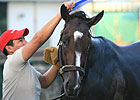 Rachel Alexandra Works on Training Track Rachel Alexandra Works on Training Track