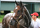 Rachel Alexandra Breezes Over Training Track