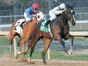 FG Oaks: 'Alexandra to Face Short Field FG Oaks: 'Alexandra to Face Short Field