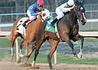 FG Oaks: 'Alexandra to Face Short Field