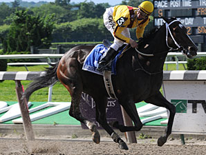 Rachel Alexandra Likely For La Troienne Rachel Alexandra Likely For La Troienne