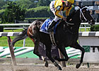 Rachel Alexandra Auction to Benefit Charity