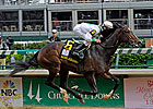 Travel Plans Set For Rachel Alexandra Travel Plans Set For Rachel Alexandra