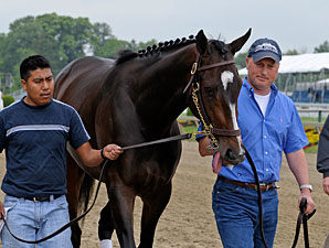 Rachel Poses for Vogue; 'Bird' Gallops Rachel Poses for Vogue; 'Bird' Gallops