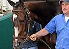 Rachel Alexandra Heavy Early Betting Choice