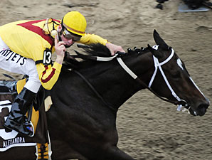 Filly Drives Preakness TV Ratings Up Filly Drives Preakness TV Ratings Up