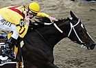 Filly Drives Preakness TV Ratings Up Filly Drives Preakness TV Ratings Up