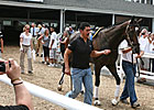 Vic Zast's Saratoga Diary: Rachel Saratoga