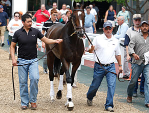 Blasi Feeling Great About Rachel Alexandra Blasi Feeling Great About Rachel Alexandra