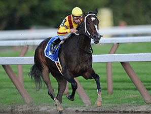 Rachel Alexandra Pointed to Spring Return Rachel Alexandra Pointed to Spring Return