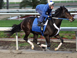 Rachel Alexandra in 4F Move at Fair Grounds Rachel Alexandra in 4F Move at Fair Grounds
