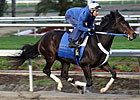 Rachel Alexandra in 4F Move at Fair Grounds Rachel Alexandra in 4F Move at Fair Grounds