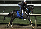 Rachel Returns To Churchill For La Troienne Rachel Returns To Churchill For La Troienne