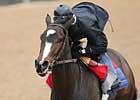 Rachel Alexandra Odds-On in FG Oaks Rachel Alexandra Odds-On in FG Oaks