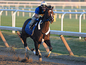Final Breeze for Rachel Alexandra Final Breeze for Rachel Alexandra