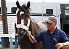 Lady Secret Stakes to be Shown on NTRA.com Lady Secret Stakes to be Shown on NTRA.com