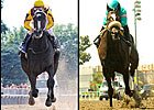 Rachel Vs. Zenyatta Showdown is Back On Rachel Vs. Zenyatta Showdown is Back On