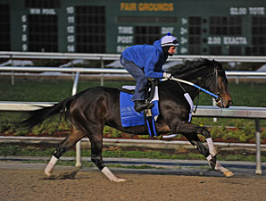 Rachel Alexandra Won't Run in Apple Blossom Rachel Alexandra Won't Run in Apple Blossom